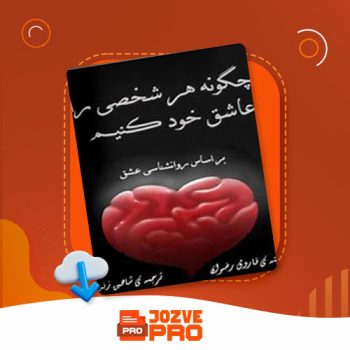 معرفی و دانلود کتاب چگونه هر شخصی را عاشق خود کنیم شاهین زند ۱۲۳ صفحه PDF 📙