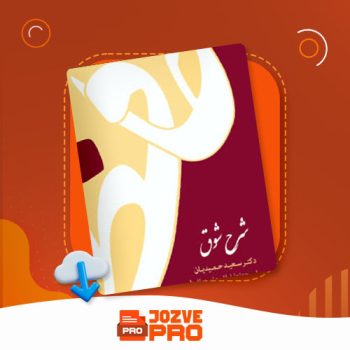 معرفی و دانلود کتاب شرح شوق سعید حمیدیان ۹۶۴ صفحه PDF 📙